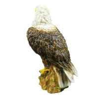 Aquila calva InForm 3D