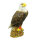 Aquila calva InForm 3D