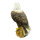 Aquila calva InForm 3D