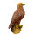 InForm 3D Steinadler