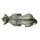 InForm 3D wildcat - diversi colori