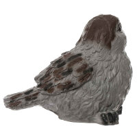 Passero Jumbo 3D IBB