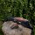 JACKALOPE Zircon - Ultimate - 66-70 Zoll - 16-50 lbs - ILF - Take Down Recurvebogen