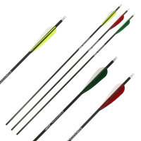 NEW GOODS | Freccia completa | GOLD TIP Warrior -...