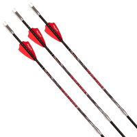 Dardo balestra - VICTORY ARCHERY VooDoo SS - Carbonio -...