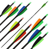 Freccia di carbonio | SPHERE Pioneer 6.2 - con vanes - dal 31 lbs