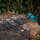 Freccia completa | SPHERE Ghost 4.2 - Carbonio