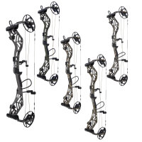 ARCO BERSAGLIO Persist - 45-70 lbs - Arco compound