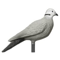 Piccione IBB 3D