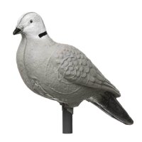 Piccione IBB 3D