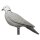 Piccione IBB 3D