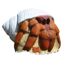 Granchio 3Di