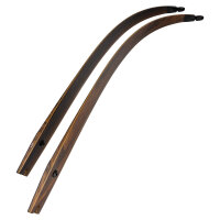 Flettenti | SPIDERBOWS - Hawk - SRF Design - Carbonio - 25-50 lbs