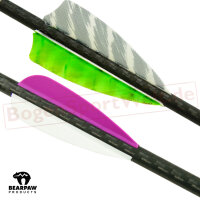 Freccia completa | BEARPAW Penthalon Hunter Extreme - Carbonio | Spine: 800