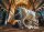 LEITOLD Gatto del faraone