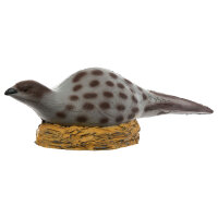 IBB 3D Gallina fagiano seduta sul nido