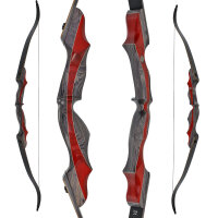 SPIDERBOWS Blizzard - 64-68 pollici - 25-50 libbre - SWS - Arco a ricurvo da abbattere