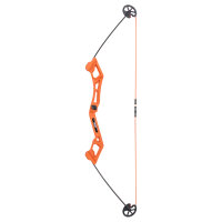BEAR ARCHERY Valiant - 34 pollici - 7-16,5 lbs - Arco per principianti