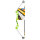 BEAR ARCHERY Valiant - 34 pollici - 7-16,5 lbs - Arco per principianti