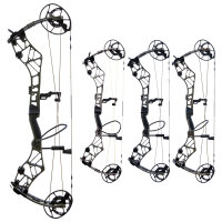 BEAR ARCHERY Persist 33 - 45-70 lbs - Arco compound