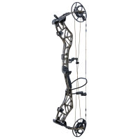 BEAR ARCHERY Persist 33 - 45-70 lbs - Arco compound