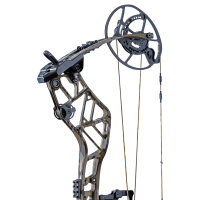 BEAR ARCHERY Persist 33 - 45-70 lbs - Arco compound