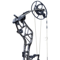 BEAR ARCHERY Persist 33 - 45-70 lbs - Arco compound