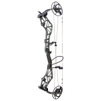 BEAR ARCHERY Persist 33 - 45-70 lbs - Arco compound