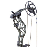 BEAR ARCHERY Persist 33 - 45-70 lbs - Arco compound