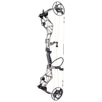 BEAR ARCHERY Persist 33 - 45-70 lbs - Arco compound