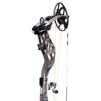 BEAR ARCHERY Persist 33 - 45-70 lbs - Arco compound