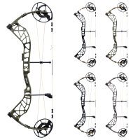 BEAR ARCHERY Whitetail INT - 45-70 lbs - Arco compound
