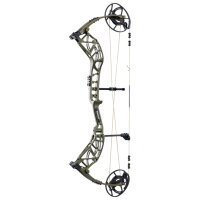 BEAR ARCHERY Whitetail INT - 45-70 lbs - Arco compound