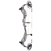 BEAR ARCHERY Whitetail INT - 45-70 lbs - Arco compound