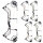 BEAR ARCHERY Legend 30 - 14-70 lbs - Arco compound