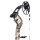 BEAR ARCHERY Legend 30 - 14-70 lbs - Arco compound