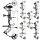 BEAR ARCHERY Species XT RTH - 45-70 lbs - Compoundbogen
