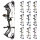 BEAR ARCHERY Legit MAXX - RTH - 70 lbs - Arco compound
