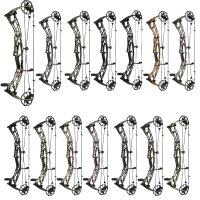 HOYT Alpha AX-2 32 - 40-80 lbs - Arco compound