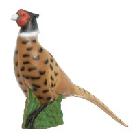 IBB 3D Fagiano nobile