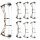 BOWTECH Proven 34 - 40-70 lbs - Arco compound