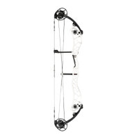 BOWTECH Reckoning 39 Gen 2 - 40-70 lbs - Arco compound