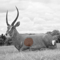 WILDCRETE 3D Ricambi