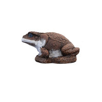 WILDCRETE 3D Aga - Rospo