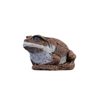 WILDCRETE 3D Aga - Rospo
