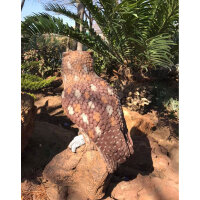 WILDCRETE 3D Gufo reale