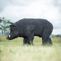 WILDCRETE 3D Cinghiale