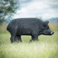 WILDCRETE 3D Maiale domestico nero