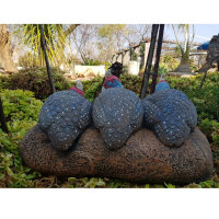 WILDCRETE 3D Hühnervögel Trio
