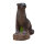 WILDCRETE 3D Lontra